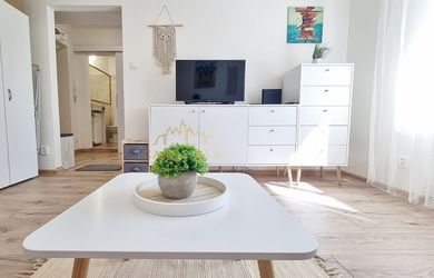 1 szobás lakás az bérlés a Košice-Staré Mesto